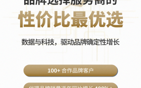 GOHEADLINE品牌选择服务商的性价比最优选