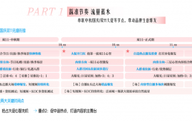 在抖音，打好心智战役：巨量引擎全景攻略赋能品牌双11