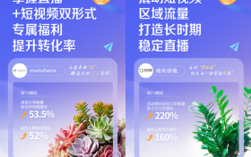 双11开局即爆发，「抖in新商计划」助力中小商家实现生意跃迁