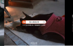 淘宝特殊的推荐宝贝：品牌长线公益策略的新范式