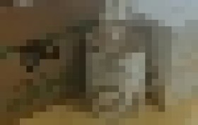 合生元奶粉事件曝光2022
