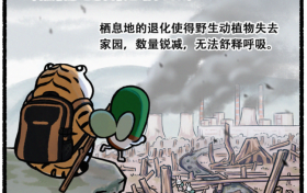 辅舒良#地球呼吸计划# x中国绿化基金会再牵手，共同修复辽东山区红松生态林