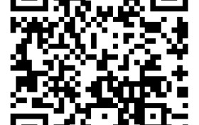 美区增长新机遇在哪？3月16日，TikTok Shop这场大会为你揭晓